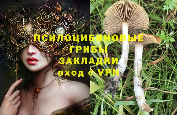 гашик Богородск