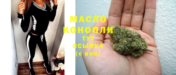 гашик Богородск