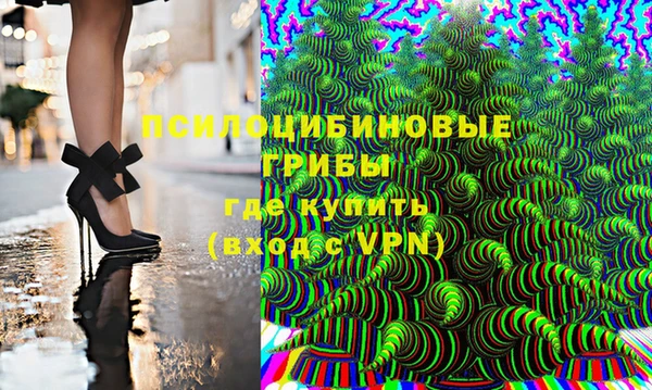 гидропоника Богданович